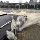 7월3일 영상컬럼 이미지