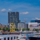 도그마미 이미지