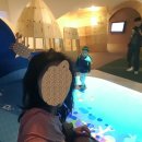 이태원면사무소 이미지