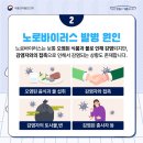 겨울이어도 ‘생굴’ 섭취 주의…잘못 먹으면 ‘이것’ 걸려 이미지