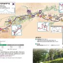 장승길 Daum카페