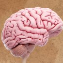 석인한의원 이미지