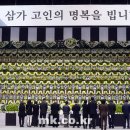 고잔초등학교 정문 앞 이미지