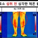 8체질건강연구소