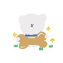 안경사랑안경콘택트 이미지