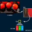 광전 이미지