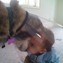 아이페티앙 이미지