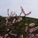 단산마을 이미지