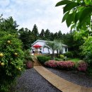 제주카사블랑카 이미지