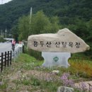 일MTB 이미지