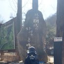 진산자연휴양림 | 대전 장태산 자연휴양림 방문 전 필독! 출렁다리 폐쇄 정보와 등산 코스 꿀팁