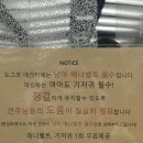 도그코 | 경기광주 애견카페 강아지 동반 실내 실외 도그코 후기