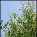 해맞이타운아파트 이미지