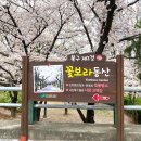 꽃보라동산 이미지