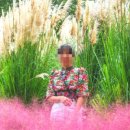 진정2농장 이미지