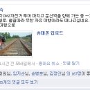 누리투어 이미지