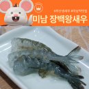 미남역맛집 청새우회 새우구이 새우머리튀김까지 장백왕새우에서