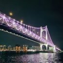 부산 파이낸셜뉴스