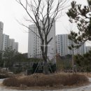 강남-109 이미지