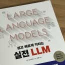 엘엘엠