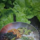 광주별미, 맛깔나는 무등산 남도밥상 이미지