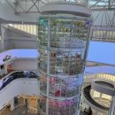 장산로 | 아이와 함께 꼭 가볼만한 곳, 서천 씨큐리움 체험 후기