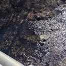 대봉목장 이미지