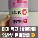 맘스레시피 | 임산부 유산균 내돈내산 락토핏맘스 유산균 변비탈출 후기