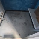 악쓰는 하마 이미지