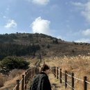 더 플로트 앳 송당 이미지