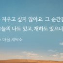 파랑새 세탁소 이미지