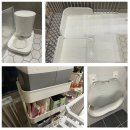 톰퍼피 강아지 분양 이미지