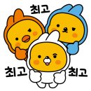 초이스노래