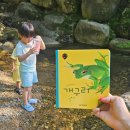 개구리화원 이미지