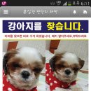 신월1동신영시장 이미지