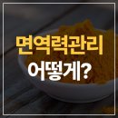 면역력 관리에 관심이 많다면? [라이프잇 하이큐민 후기]