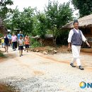 아주 특별한 여름밤 이미지