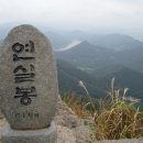 덕고개로 이미지