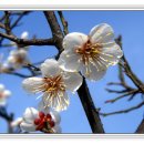 상동공원 이미지