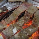 백이십퍼센트 네이버블로그