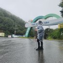 안평이용