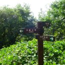 대구대곡초등학교 이미지