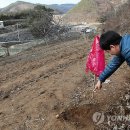 미천면-14 이미지
