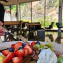 아나크 | 포항 디저트 카페 실내 데이트 사진 찍기 좋은 곳 빨간지붕 아나크