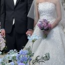 가마곡 | [Wedding] 12월 신도림 더세인트 파노라마홀 본식 후기