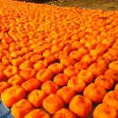 우량농장 이미지