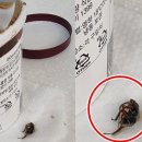 아사삭아이스크림 - 평택시 막곡길 11 | 아사삭아이스크림
