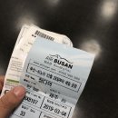 제주도 뚜벅이 여행, 월정리 세화 여전히 아름다운곳 !