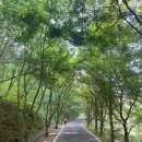 마니산(기도원) 이미지