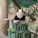 머리하자 이미지